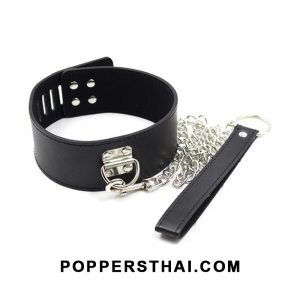 Leather Collar with Detachable Leash | ปลอกคอหนังพร้อมสายจูงถอดได้