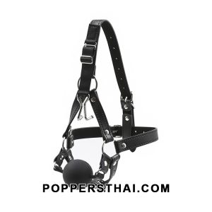 Harness Ball Gag Full Head Bridle | แฮร์เนสบอลเก๊กแบบครอบศีรษะ