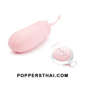 Mini Egg Vibrator / Bullet Vibe (Gift Box) | ไข่สั่นขนาดเล็ก / บูลเล็ต แพ็กกล่องของขวัญ